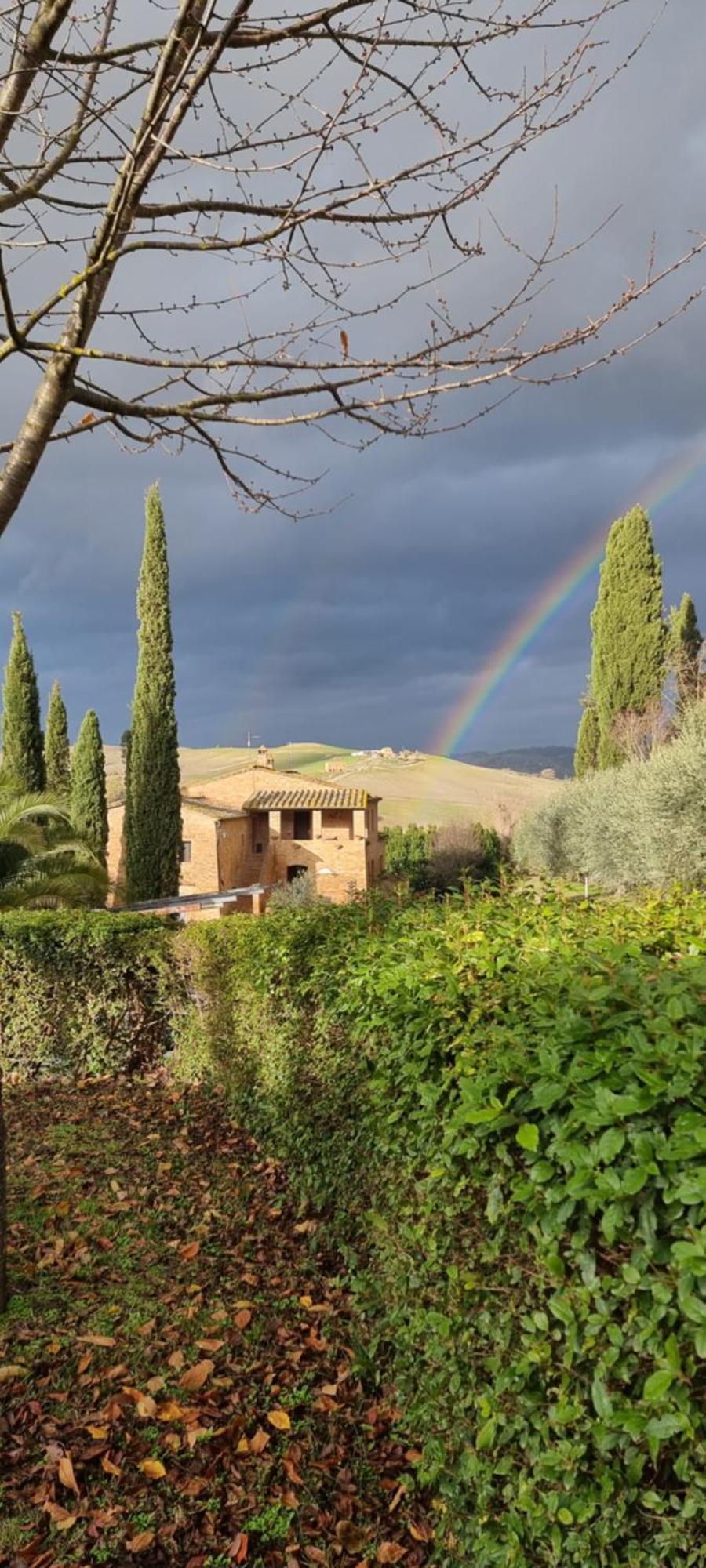 Agriturismo S. Eurosia Montalcino Kamer foto